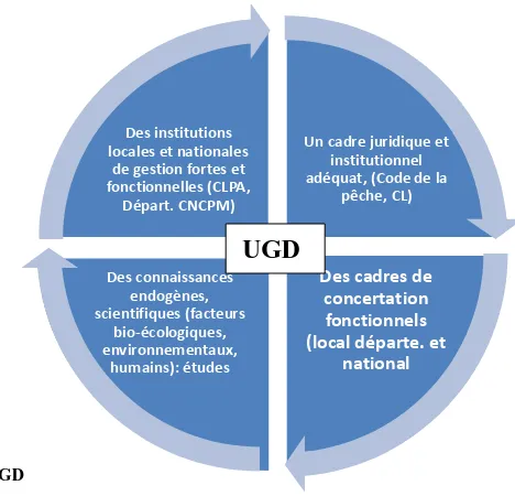 Figure 5. Schéma de l’UGD 