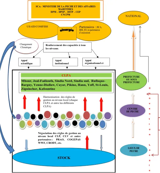 Figure 6 : Schéma UGD sardinelle et connexions des différents niveaux de gouvernance à travers les conventions locales  