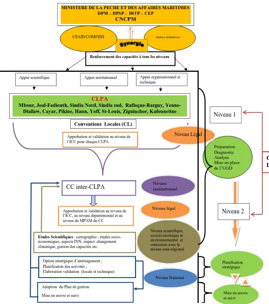 Figure 7.  Description du processus de mise en place du plan d’aménagement pour l’UGD de la sardinelle  