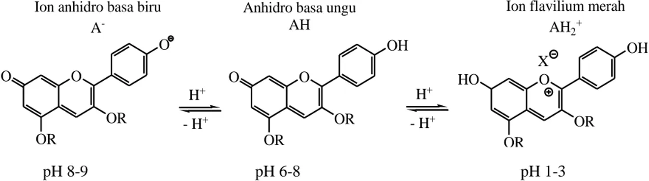 Gambar 2. Perubahan struktur antosianin pada pH yang berbeda (Thompson, 1989)  Tabel II