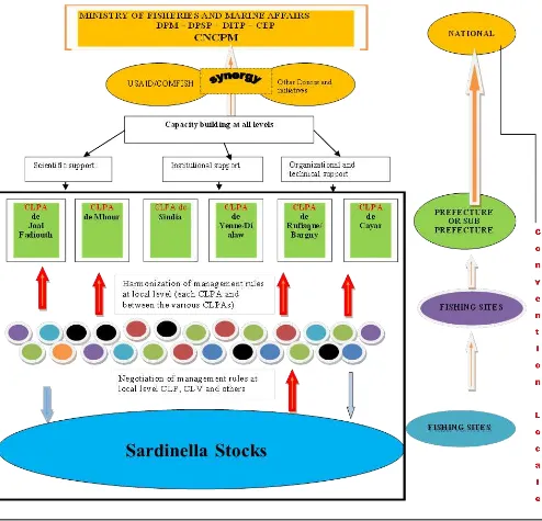 Figure  4. UGD sardinella plan and linkages to the different levels of governance based on Conventions Locales  