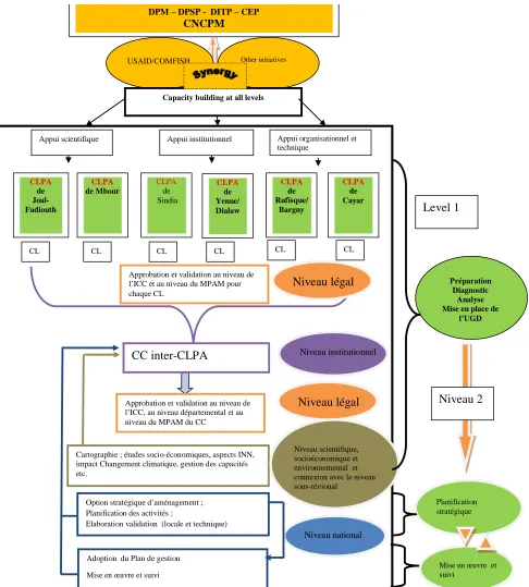 Figure  5. Description of the process for establishing the UGD sardinella management plan  
