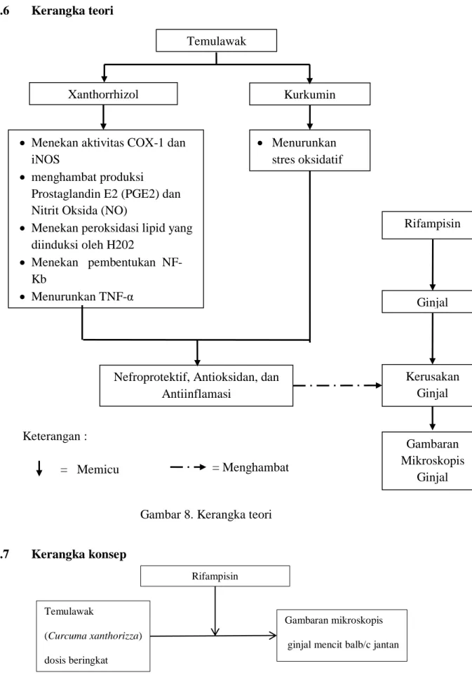 Gambar 8. Kerangka teori 