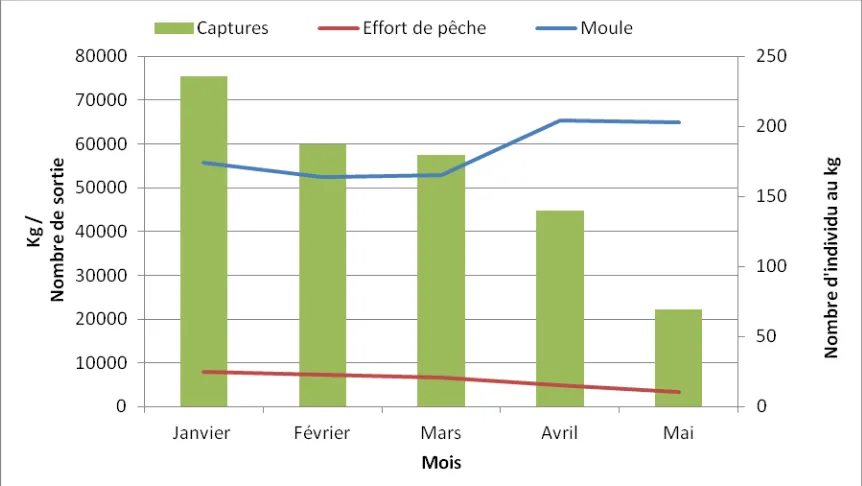 Figure 6 : L’évolution des captures et des moules en fonction de l’effort de pêche 