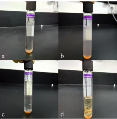 Gambar 2. Medium MGIT yang tidak terkontaminasi (a) dan terkontaminasi (b,c,d) 