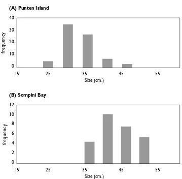 Figure 9: Size class distribution of COTs in two areas of North Sulawesi 