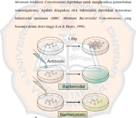 Gambar 6. Aktifitas bakterisidal dan bakteristatik antimikroba (Lüllmann, Mohr,Ziegler, Bieger, 2000)