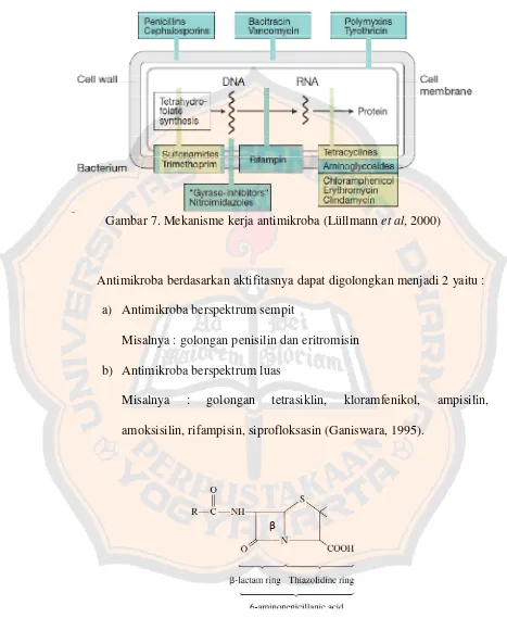 Gambar 7. Mekanisme kerja antimikroba (Lüllmann et al, 2000)