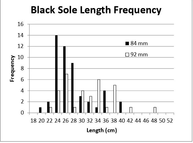 Figure 5. Length frequency of the black sole captured Frequency 