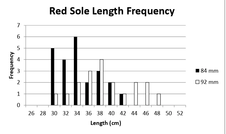 Figure 7:   Length frequency of red sole caught with the two mesh size  