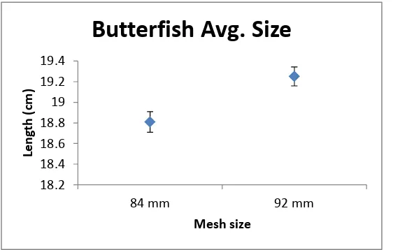 Figure 11:  Butterfish mean size with standard error bars.  