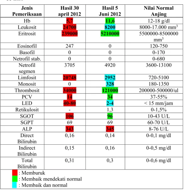 Tabel 1. Gambaran hemogram dan enzim hati dari pasien yang diambil pada interval  35 hari  Jenis  Pemeriksaan  Hasil 30  april 2012  Hasil 5  Juni 2012  Nilai Normal Anjing  Hb  5,7  11,6  12-18 g/dl  Leukosit  24700  8200  8000-17.000 mm 3 Eritrosit  2390