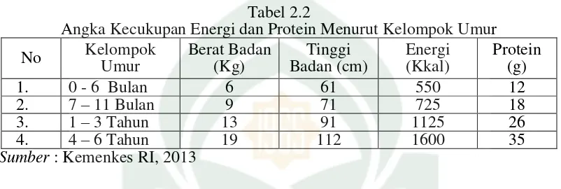 Tabel 2.2 Angka Kecukupan Energi dan Protein Menurut Kelompok Umur 