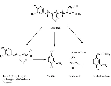 Gambar 2. Hasil degradasi kurkumin dalam larutan (Wang, Pan, Chang, Hsieh, dan 