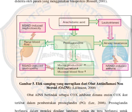 Gambar 5. Efek samping yang merugikan dari Obat Antiinflamasi Non