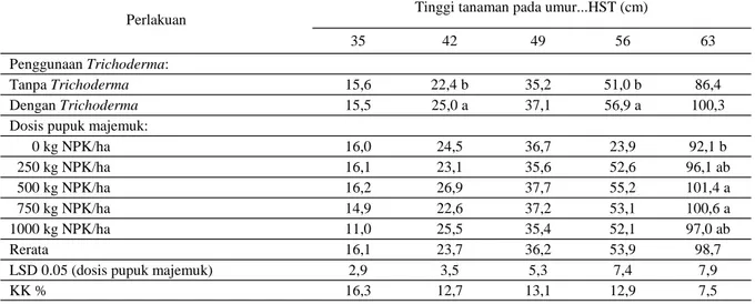 Tabel  1. Tinggi tanaman tomat selama periode pertumbuhan dengan penggunaan cendawan Trichoderma dan  dosis pupuk majemuk  