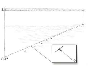 Figure 2: Example of different hanging ratios 