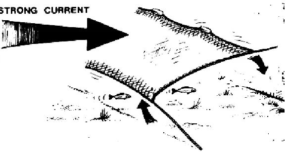 Figure 5:  Gillnet that does not have sufficient buoyancy to keep it upright in a current
