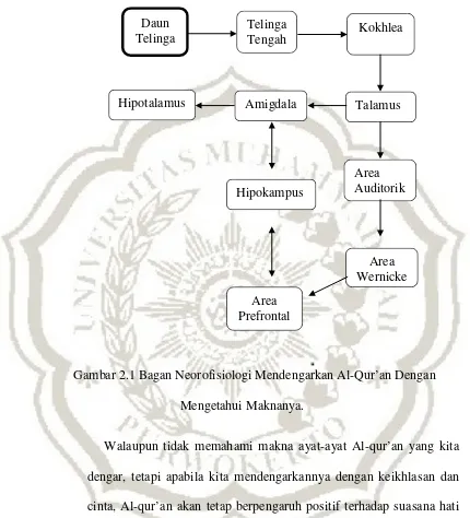 Gambar 2.1 Bagan Neorofisiologi Mendengarkan Al-Qur’an Dengan 