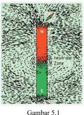 Gambar 5.1 Pola garis medan magnet permanen. 