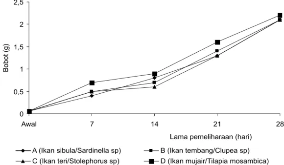 Gambar 2. Pertumbuhan lebar karapas kepiting bakau selama penelitian Figure 1. Carapax width growth  of mud crabs during experiment.