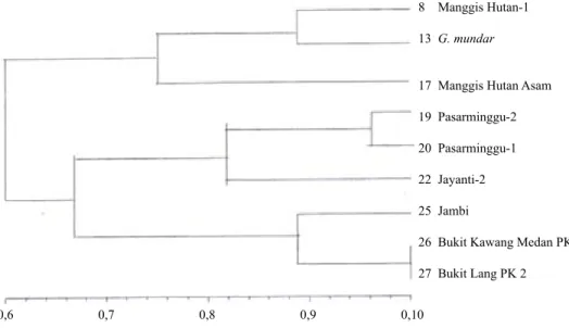 Gambar 1.   UPGMA berdasarkan dendrogram sembilan contoh  manggis dengan 121 penanda  AFLP (UPGMA based on dendrogram of nine mangosteen  samples  with 121 AFLP  marker)