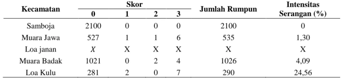 Tabel 2. Intensitas serangan pada pola tanam monokultur. 