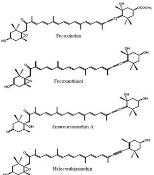 Gambar 7. Struktur rumus bangun dari fukosantindan beberapa metabolitnya (Peng et al., 2011)  Kandungan  pigmen  karotenoid,  fukosantin  dapat  ditemukan  pada  beberapa  spesies  algae  coklat