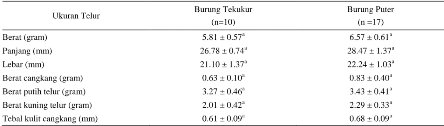 Tabel 3.  Ukuran telur burung tekukur (Streptopelia chinensis) dan burung puter (Streptopelia risoria) 