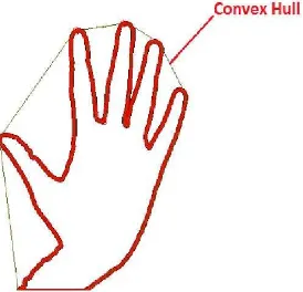 Gambar 2.9. Convex-Hull (Dhawan & Honrao, 2013) 