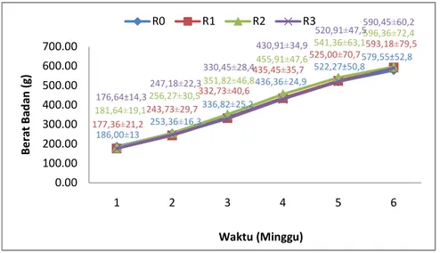 Gambar 1. Grafik pertambahan berat badan ayam kampung minggu 1 – minggu 6  Keterangan: R0 (kontrol), R1 (10 7  cfu/ml), R2 (10 9  cfu/ml), R3 (10 11  cfu/ml) 