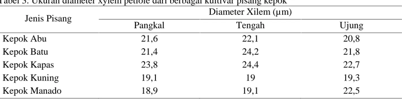 Tabel 3. Ukuran diameter xylem petiole dari berbagai kultivar pisang kepok