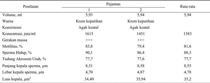 Tabel 2.  Rataan kualitas semen segar dan ukuran spermatozoa hasil penampungan sebelum dilakukan pemisahan 