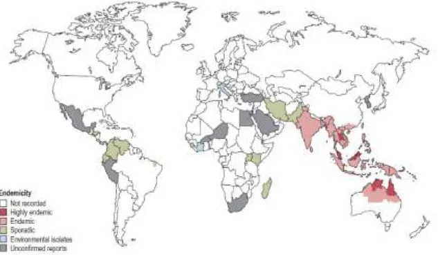 Gambar 2. Distribusi Global Melioidosis 6  