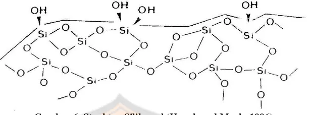 Gambar 6. Struktur Silika gel (Hauck and Mack, 1996) 