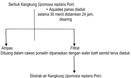 Gambar 1: Skema pembuatan ekstrak air kangkung (Ipomoea reptans Poir) 