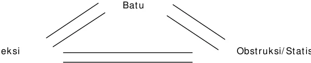Gambar 1. Hubungan segitiga antara infeksi – bat u- stasis 