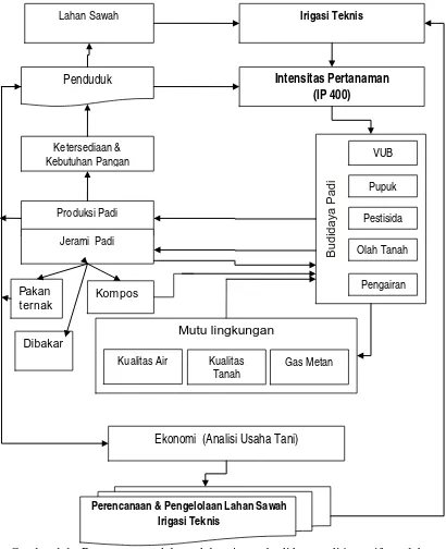 Gambar 1.1.  Rumusan masalah model optimum budidaya padi intensif, rendah                       emisi metan dan  berkelanjutan pada sawah irigasi teknis