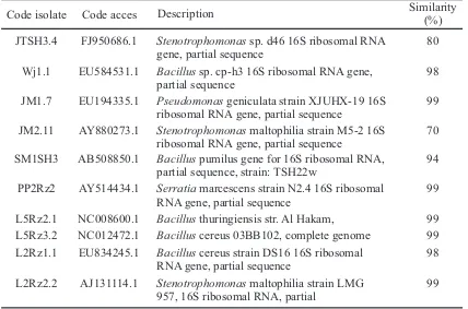Table 4. The result of search sequences  of 16S rRNA gene of selected rhizobacteria with similarity species on found in GenBank
