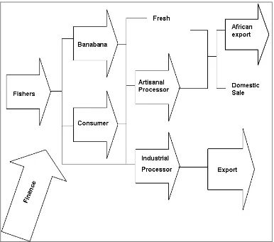 Figure 12. Direct and indirect linkages between producers (fishers), fish traders and consumers 