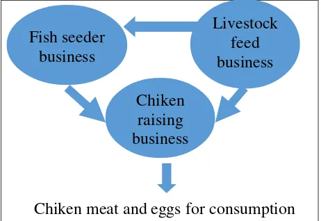 Figure 2. Business Concept of broiler and layer hens  (adapted from Yusdja et al, 2004) 