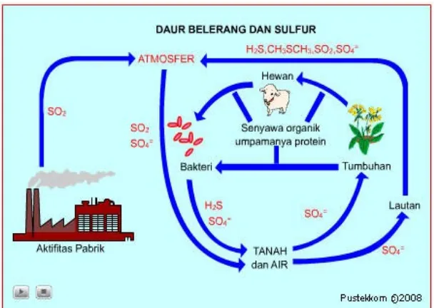 Gambar  Proses terjadinya daur fosfor