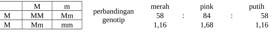 Tabel hasil persilangan dihibrid sifat intermedied