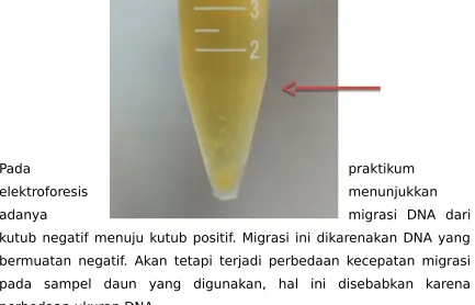 gambar berikut: