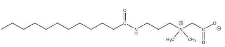 Gambar 3. Struktur Cocamidopropyl betaine 