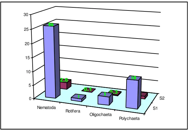 Gambar 1. Jenis dan jumlah serta rata-rata kelompok meiofauna selama praktikum  
