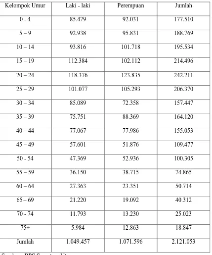Tabel 4.2  Penduduk Kota Medan Menurut Kelompok Umur Tahun 2009