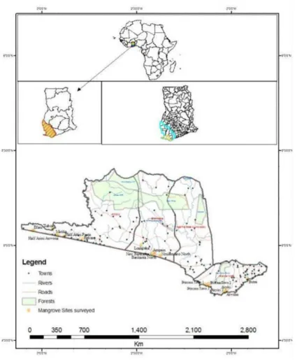 Figure 2 Map of Amanzuri wetlands showing distribution of surveyed mangrove sites 