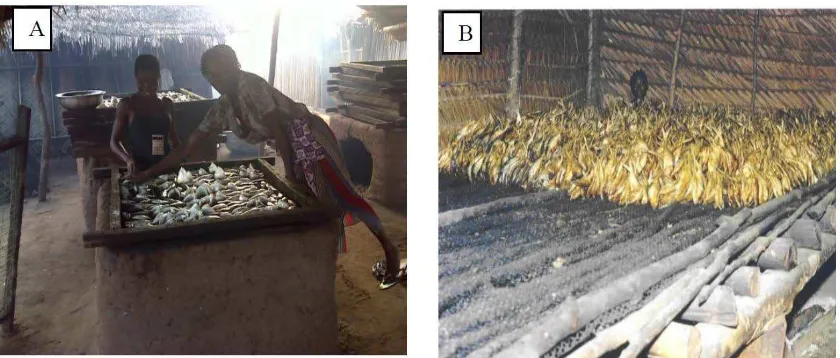 Figure 4 Fish smoke ovens in mangrove communities in (A) West Africa Efasou, Ghana  and Central Africa (B)  Mouanko , Cameroon (Photos: A: Nicolas Breslyn  B: Gordon Ajonina)