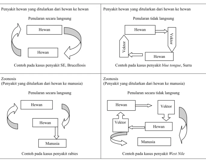 Gambar 1. Bagan penularan penyakit hewan dan zoonosis Sumber: M C M ICHAEL dan W OODRUFF (2008) dimodifikasi